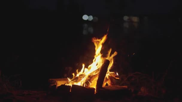 Éjszakai Jelenet Tábortűz Füsttel Esti Erdőben Lángoló Tábortűz Kandalló Természetben — Stock videók
