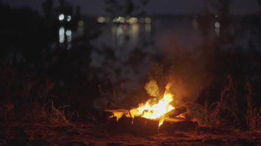 Gece sahnesi. Akşamları Orman 'da yanan şenlik ateşi. Alevli Kamp Ateşi. Doğadaki Şömine, Ağır Çekim. Açık havada ormanda piknik.