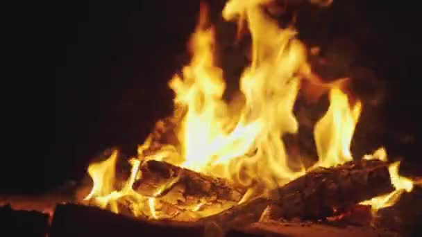 Burning Coals Ready Barbecue Firewood Coals Grill Bbq Close Roll — Stock Video