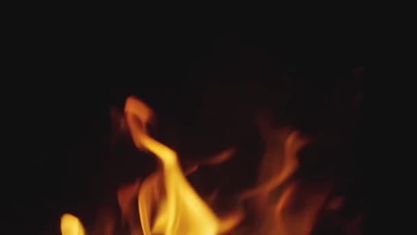 Туристка Сидящая Согревает Руки Огненным Вечером Пределами Дикой Природы Горы — стоковое видео