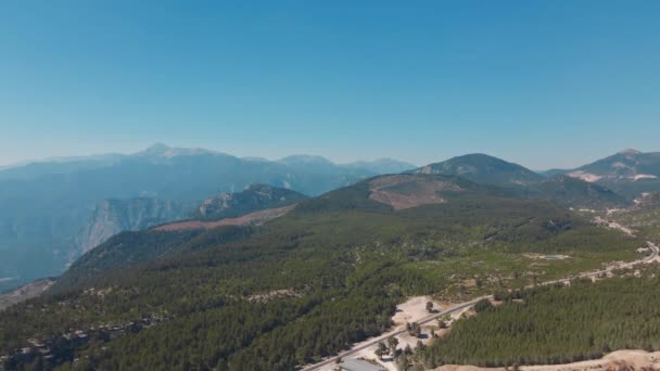 Forest Road Mountain Luchtfoto Drone Reisbestemming Natuur Boom Mooi Amerika — Stockvideo