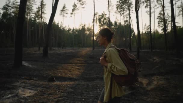 Mulher Triste Caminhante Com Mochila Floresta Após Incêndio Florestal Terra — Vídeo de Stock