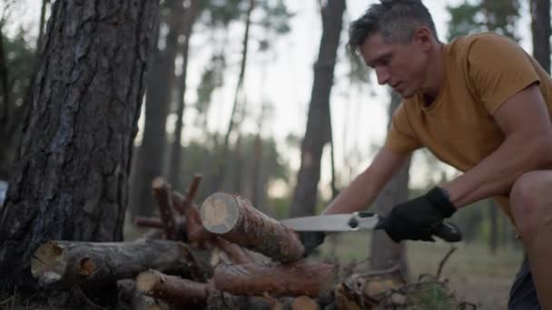 傍晚时分 男性游客在森林里用手工锯木砍伐树木 为篝火准备柴火的旅行者 野生的人 野外徒步旅行者在野外生存 — 图库视频影像