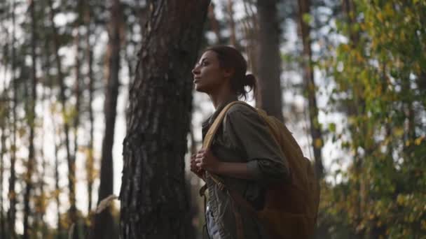 Parkta Yürüyüş Yapan Biri Sırt Çantalı Kız Turist Orman Parkında — Stok video
