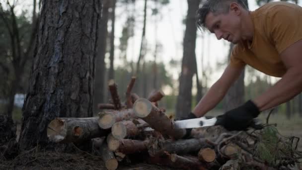Ein Männlicher Tourist Schneidet Abends Wald Baumstämme Mit Der Handsäge — Stockvideo