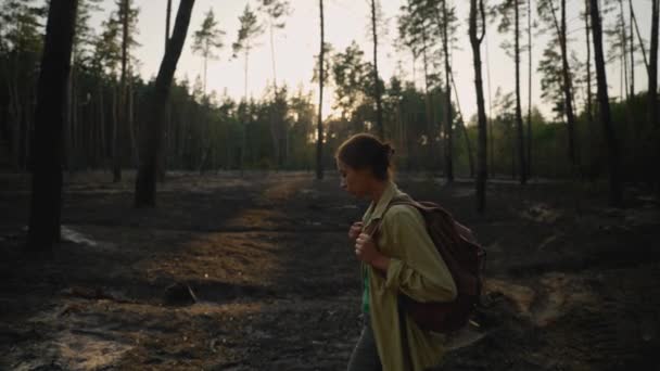 Mulher Triste Caminhante Com Mochila Floresta Após Incêndio Florestal Terra — Vídeo de Stock