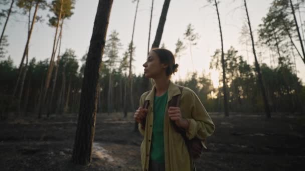森林火災の後 森の中のバックパックと悲しい女性のハイカー 森の中の火災の結果として生まれた 緊急事態や自然災害について — ストック動画