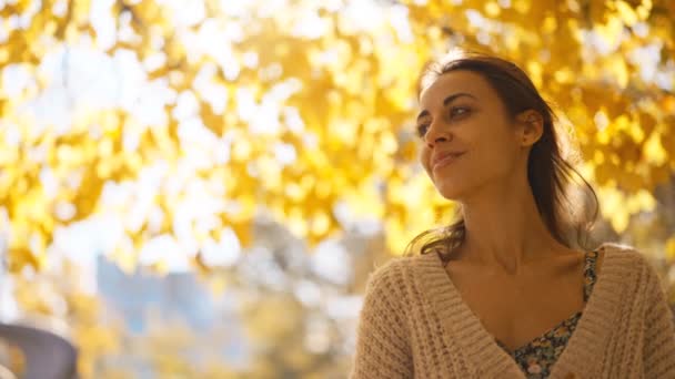 Portret Atrakcyjnej Brunetki Chodzącej Jesienią Parku Słoneczny Dzień Uśmiechniętej Twarz — Wideo stockowe