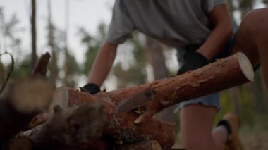 Güçlü dişi turist, ormanda akşam testeresiyle odun kesiyor. Gezgin kamp ateşi için odun hazırlıyor. Vahşi bir kadın. Doğa yürüyüşçüsü vahşi doğada hayatta kalıyor, ateş yapıyor.