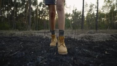 Yürüyüş botlarıyla kadın yürüyüşçüler ormanda orman yangınından sonra yanmış çimlerde yürür. kömürleşmiş toprak, çimen ve kömürleşmiş ağaçlar, doğal afetler