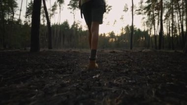 Yürüyüş botlarıyla kadın yürüyüşçüler ormanda orman yangınından sonra yanmış çimlerde yürür. kömürleşmiş toprak, çimen ve kömürleşmiş ağaçlar, doğal afetler