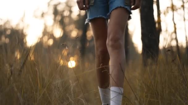 Frauenbeine Pinkfarbenen Wanderschuhen Die Bei Sonnenuntergang Der Gelben Graswiese Herbstwald — Stockvideo