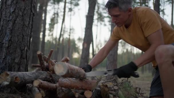 Pria Turis Memotong Kayu Dengan Tangan Melihat Malam Hari Hutan — Stok Video
