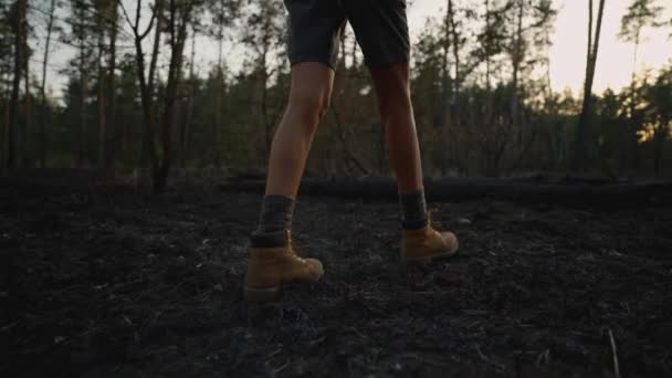 在森林失火后 穿着远足靴的女徒步旅行者在燃烧的草地上行走 自然灾害 — 图库视频影像