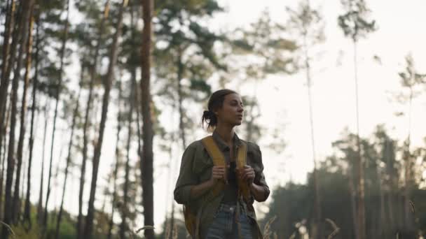 秋天的森林里 一个身披黄色背包的慢镜头女人在小径上走着 背着背包的女徒步旅行者拿着高草穿过树林 有选择的重点 在乌克兰旅行 — 图库视频影像
