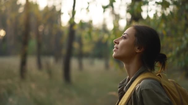 Sarı Sırt Çantalı Kadın Sonbahar Ormanlarında Yol Kenarında Yürüyor Sırt — Stok video