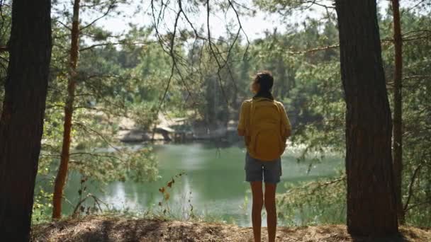 在阳光明媚的早晨 在温暖的秋松森林里 妇女走在高山湖畔的小径上 女旅行家 背着黄色背包在树林中远足 冒险户外生活 — 图库视频影像