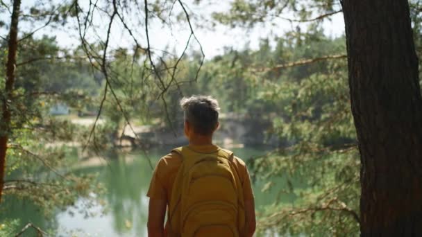 따뜻한 소나무 숲에서 화창한 아침에 산책로를 하이커 숲에서 노란색 하이킹과 — 비디오