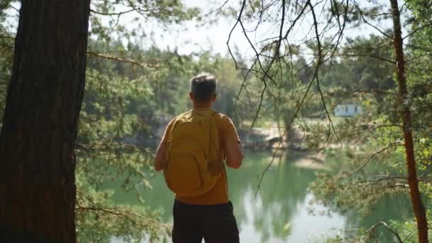 따뜻한 소나무 숲에서 화창한 아침에 산책로를 하이커 숲에서 노란색 하이킹과 — 비디오