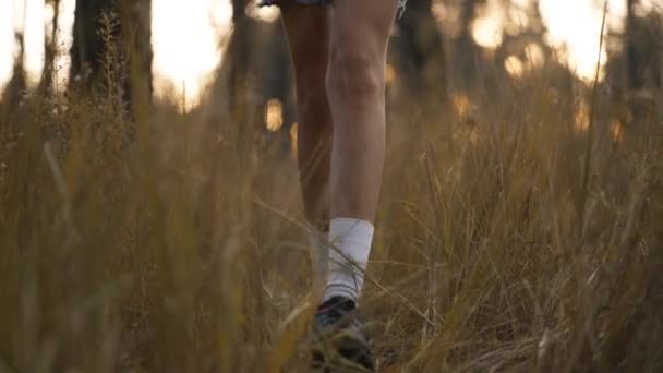 在秋日落日的森林里 穿着徒步靴在黄草草甸边行走 紧紧抓住女人的腿 女旅行家4K慢动作 户外探险和野外旅行的概念 — 图库视频影像