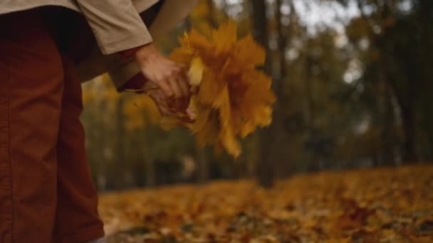 漂亮的女生一个人在公园里散步 手里拿着一束叶子 Prores — 图库视频影像
