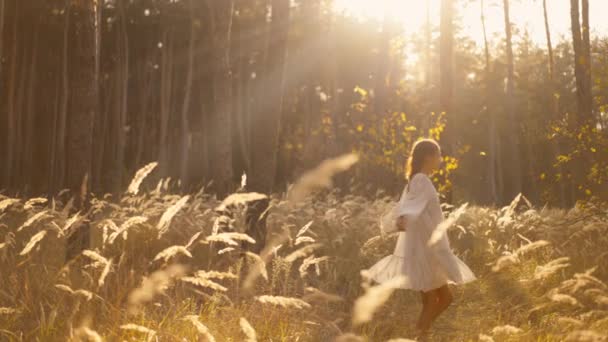 가벼운 드레스 잔디의 스피클레트 숲에서 즐겁게 햇빛과 마법의 숲에서 휴식을 — 비디오