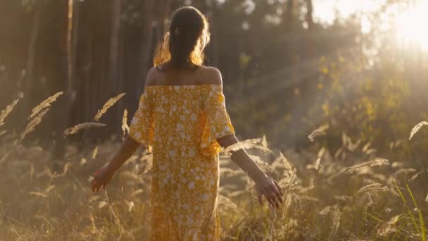 Красива Розслаблена Жінка Жовтій Сукні Відкритими Плечима Йдуть Луг Сосновому — стокове відео