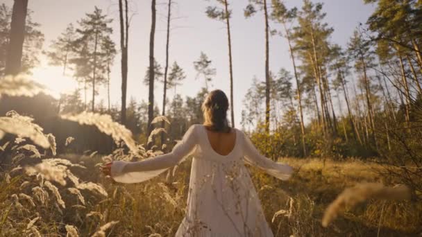 美丽而快乐的女人穿着洁白的衣服 快乐地走在秋天的森林里 介于金黄色的小穗和高高的干草之间 浪漫的女孩在迷人的秋天的森林里 沐浴着美妙的阳光 — 图库视频影像