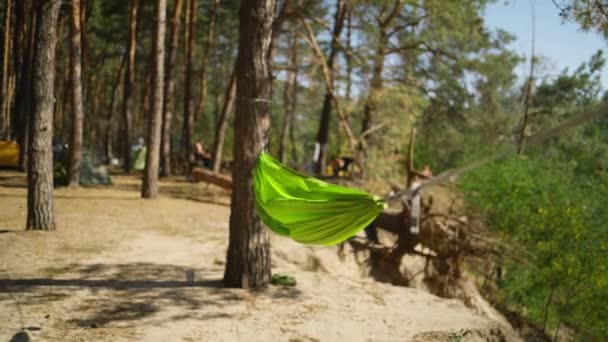 Green Hammock Swinging Pine Forest Sandy Lake Shore Sunny Summer — Stock Video