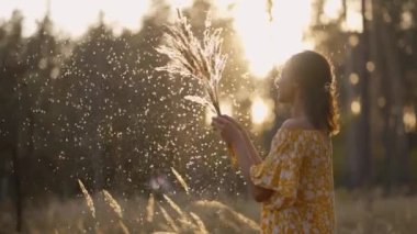 Sarı elbiseli genç bir kadın ormanda günbatımının tadını çıkarıyor. Kuru kabarık çiçekler, dikenler ve karahindibalarla oynuyor. Yaz çimlerinde tüy üfleyen sinematik manzaralı kız. Alerjiden arındırılmış konsept