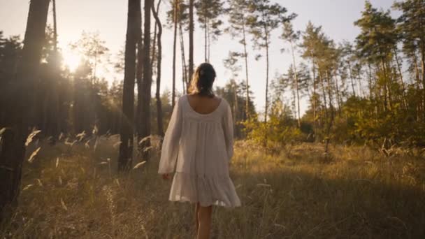 白い光のドレスの美しい幸せな女性は 背の高い乾いた草の黄金のスパイレットの間に秋の森を楽しく歩いています 素晴らしい日光で魔法の秋の森でリラックスするロマンチックな少女 — ストック動画