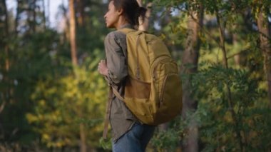 Park 'ta kadın yürüyüşçü. Sarı sırt çantalı kız turist gün batımında orman parkında yürüyor. Yaz turizmi konsepti. Vahşi parktaki çam ormanlarında yürüyüş yapan bir yürüyüşçü. feminizm kavramı