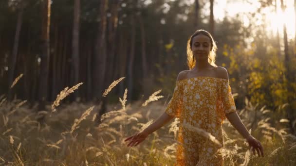 Portrait Attractive Brunette Woman Walking Park Forest Touching Grass Spikelets — Stock Video