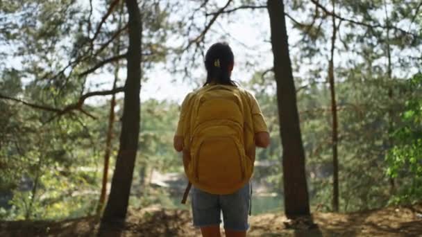 관광객 화창한 숲에서 트레일에 화창한 아침에 숲에서 노란색 하이킹 하이킹 — 비디오