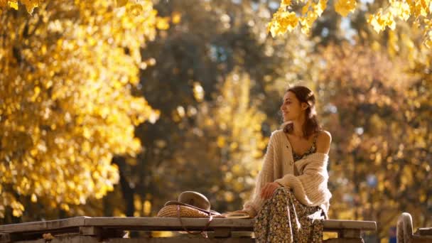 ドレスと編まれたセーターを着た美しい笑顔の女性の秋の肖像画 黄色い葉の上の公園の枝の上に座っている女の子 カメラを見ている背景 — ストック動画