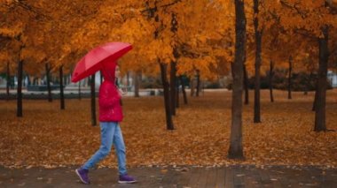 Kırmızı ceketli, parlak şemsiyeli bir kadının yağmurlu bir günde sonbahar parkında yürüyüşünü gösteren kamera görüntüleri. Yağmurlu hava, sonbahar mevsimi, altın yapraklar