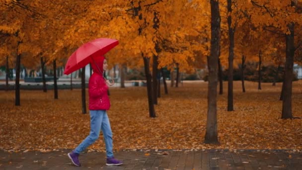 Caméra Photo Suivi Femme Veste Rouge Avec Des Promenades Parapluie — Video