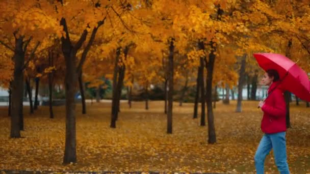 穿着红色夹克 带着明亮雨伞在秋天公园散步的女人的相机跟踪镜头 潮湿的雨天 秋天的季节 金黄的叶子 — 图库视频影像