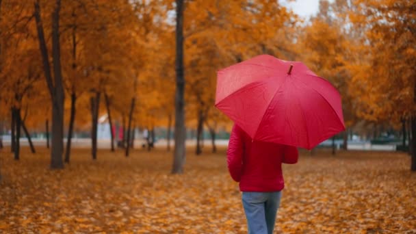 在黄色的橘黄色的城市公园里 女人正抱着雨伞独自走在雨中 慢动作射击 — 图库视频影像
