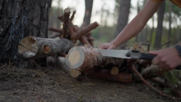 Ein Männlicher Tourist Schneidet Abends Wald Baumstämme Mit Der Handsäge — Stockvideo