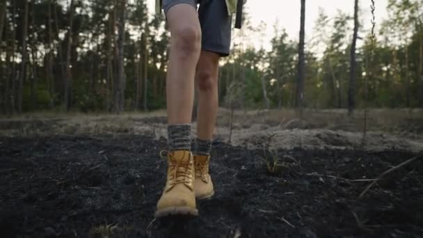 Yürüyüş Botlarıyla Kadın Yürüyüşçüler Ormanda Orman Yangınından Sonra Yanmış Çimlerde — Stok video