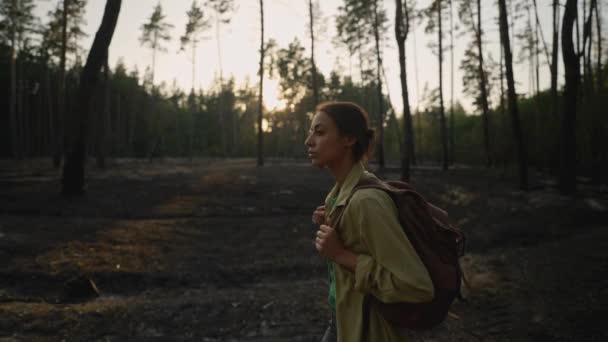 森林失火后 背着背包在树林里伤心的女徒步旅行者 青草和烧焦的树 森林失火的后果 紧急情况和自然灾害 — 图库视频影像
