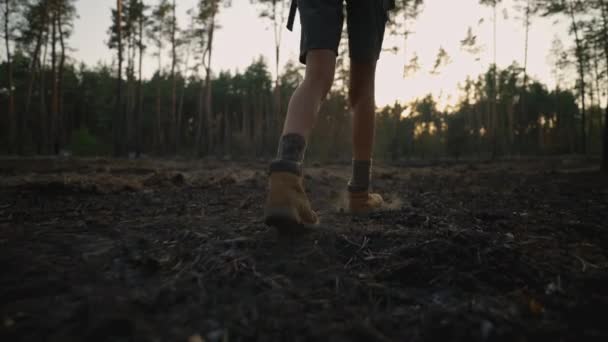 ハイキングブーツでスローモーションの女性ハイカーの足を閉じる 森の火災の後 森で燃やされた草を歩きます 自然災害 自然災害 自然災害など — ストック動画