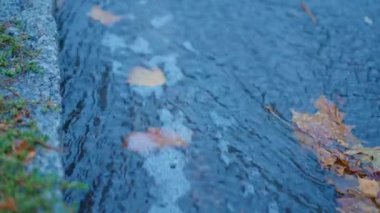 Sonbahar yağmurundan sonra şehir yolundaki hızlı yağmur suyu akıntısının yavaş çekim üst görüntüsü. Suya düşen sarı yaprak. mevsimsel yağmurlu günler
