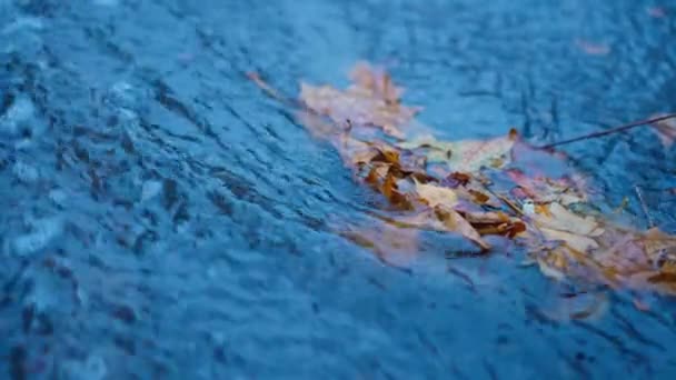 Slow Motion Top View Fast Rain Water Stream City Road — Stock Video
