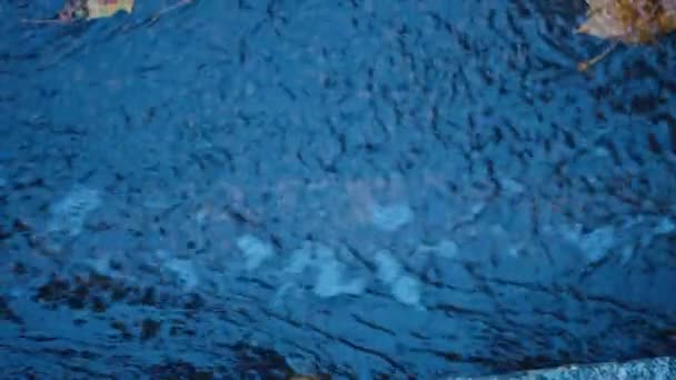 Sonbahar Yağmurundan Sonra Şehir Yolunda Hızlı Yağmur Suyu Akıntısı Mavi — Stok video