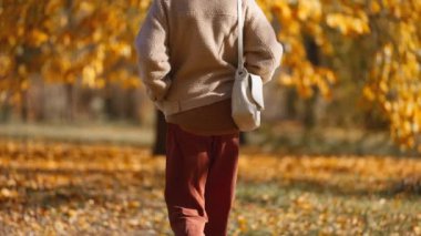 Kahverengi pantolon, süveter ve açık havada sonbahar parkında yürüyen rahat bombacı ceketi giyen güzel bir kadının sonbahar portresi. Kırmızılı ve turuncu yapraklı kız güneşli ve sıcak sonbahar gününde arka planda