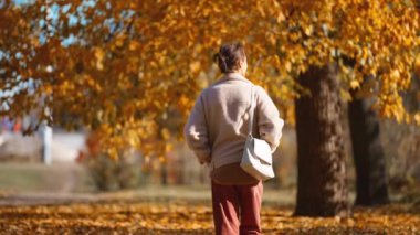 Kahverengi pantolon, süveter ve açık havada sonbahar parkında yürüyen rahat bombacı ceketi giyen güzel bir kadının sonbahar portresi. Kırmızılı ve turuncu yapraklı kız güneşli ve sıcak sonbahar gününde arka planda