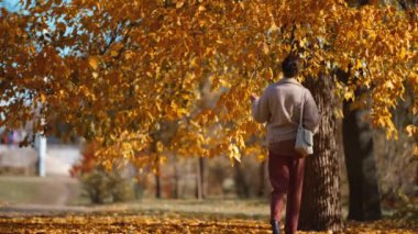 Kahverengi pantolon, süveter ve açık havada sonbahar parkında yürüyen rahat bombacı ceketi giyen güzel bir kadının sonbahar portresi. Kırmızılı ve turuncu yapraklı kız güneşli ve sıcak sonbahar gününde arka planda