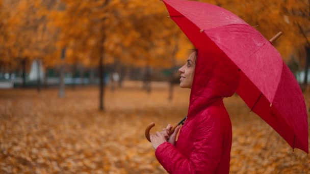 Donna Tiene Ombrello Mentre Cammina Sola Sotto Pioggia Nel Parco — Video Stock